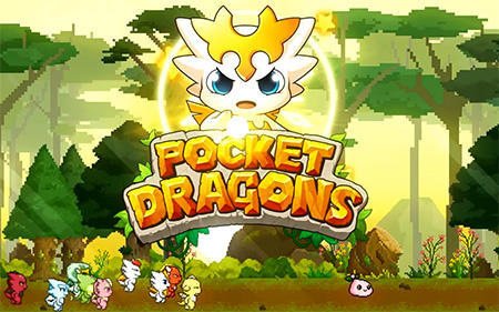 game pic for Pocket dragons